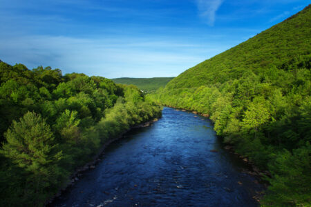 Things to See & Do at Lehigh Gorge State Park image
