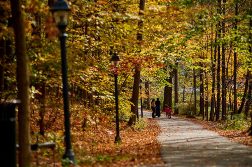 Family walkings along the scenic walking trail at South Abington Recreation Park surrounded by fall foliage.