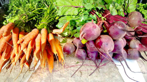 Bushels of carrots and radishes on a table at the Back Mountain Farmers Market in Dallas, PA.