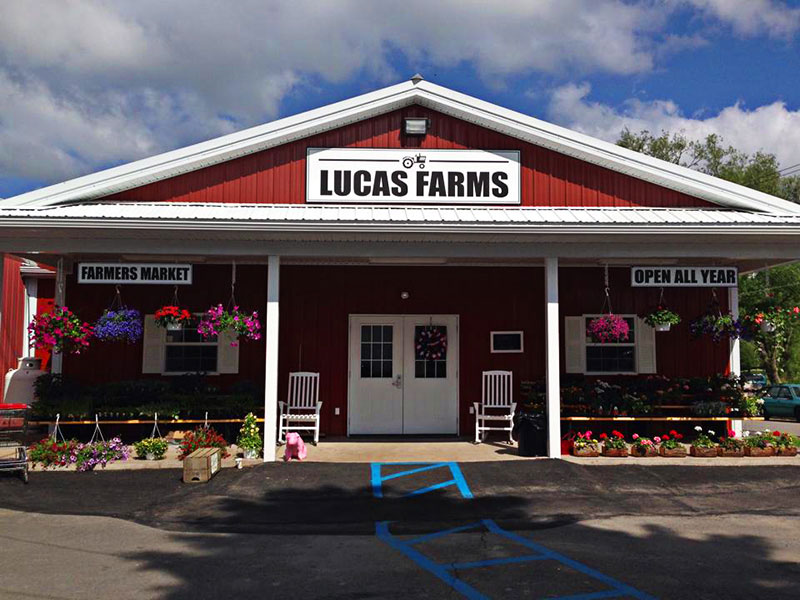 Lucas Farms Produce Center image