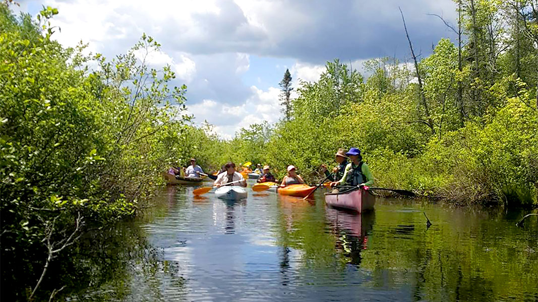 Wildlife • Kettle Creek Conservation Authority