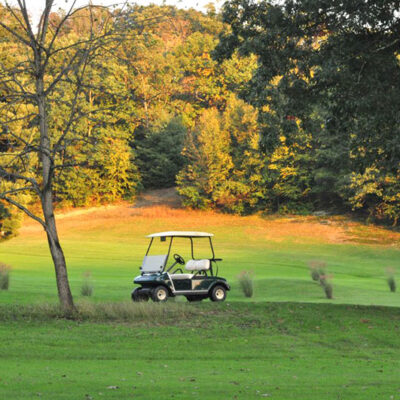 Terra Greens Golf Course image