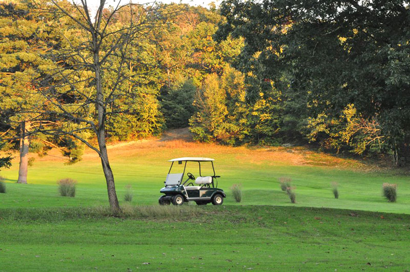 Terra Greens Golf Course image