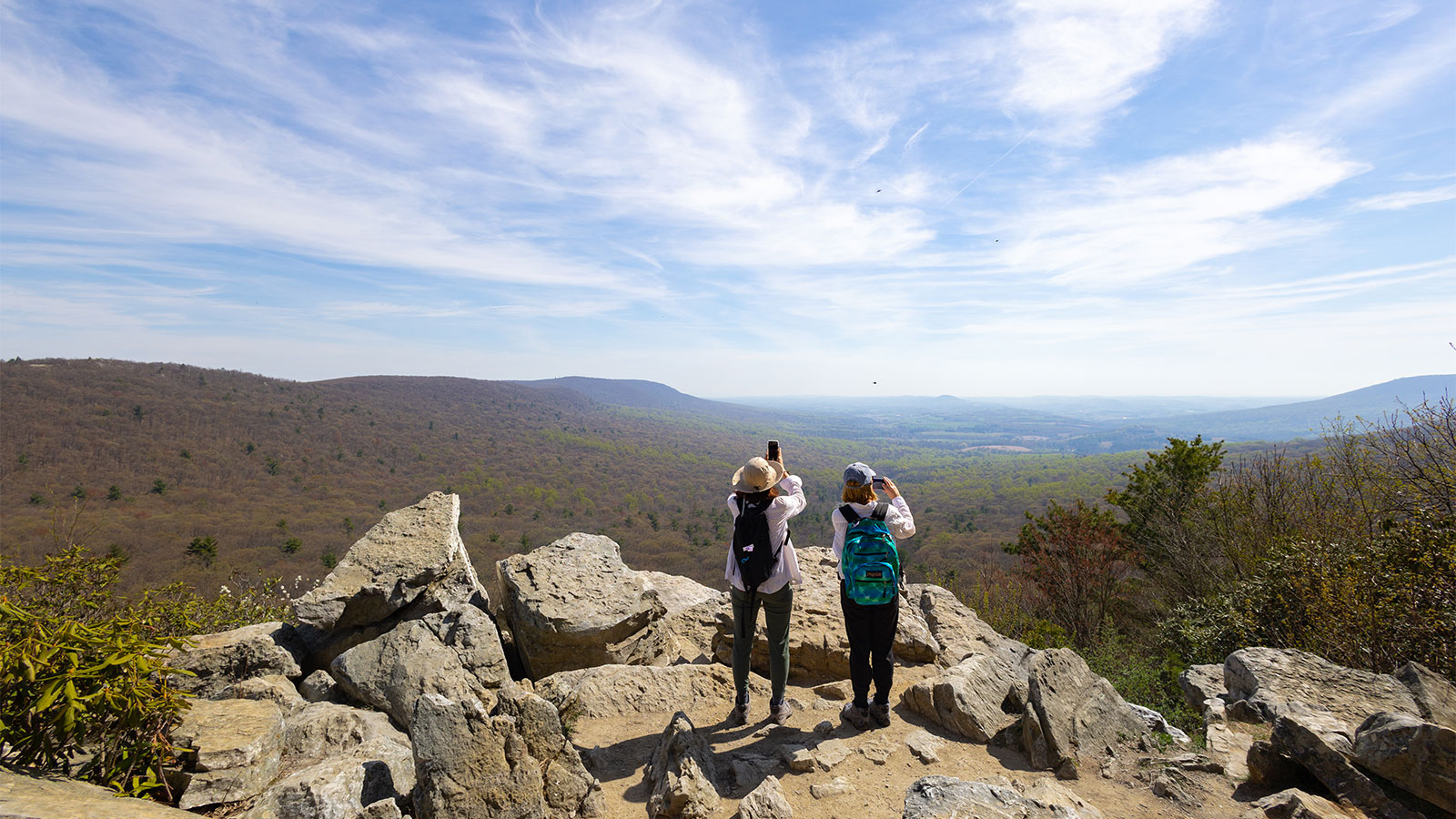 Hawk Mountain Sanctuary | Kempton, PA | Trails