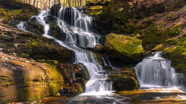 Scenic Waterfall Hikes image