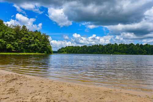 The lake shore at Ricketts Glen State Park in Benton, PA.