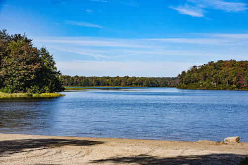 A view from the sandy beach on Lake Jean at Ricketts Glen State Park in Benton, PA.