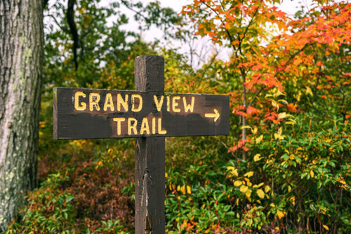 An old wooden sign in the forest directs visitors to the Grand View Trail at Ricketts Glen State Park in Benton, PA.
