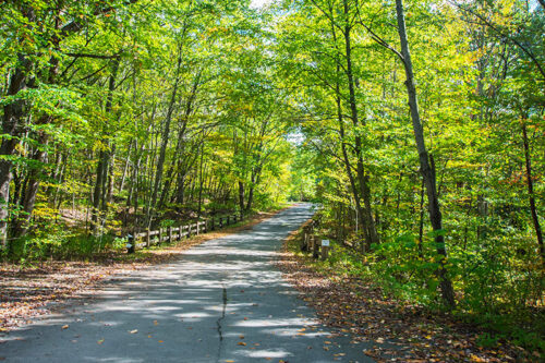 A paved road stretches through a forest in Archbald Pothole State Park, Archbald, PA, with trees lining both sides and a wooden fence visible on both sides.