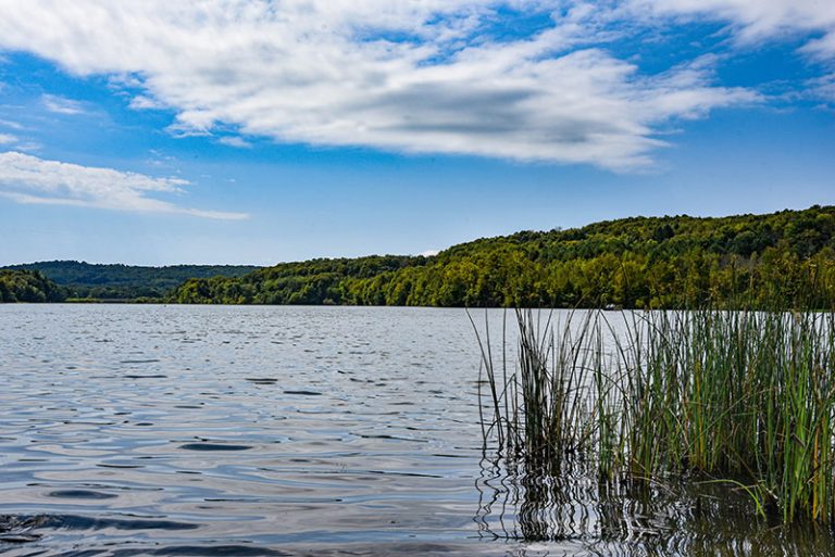 Escape To The Wilderness: Unwind At Pennsylvania’s Lackawanna State Park