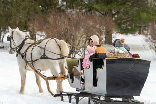 Family enjoying a horse-drawn sleigh ride across snowy fields at Daisy Field Farm in White Haven, Pennsylvania.