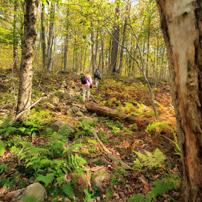 Gouldsboro State Park image