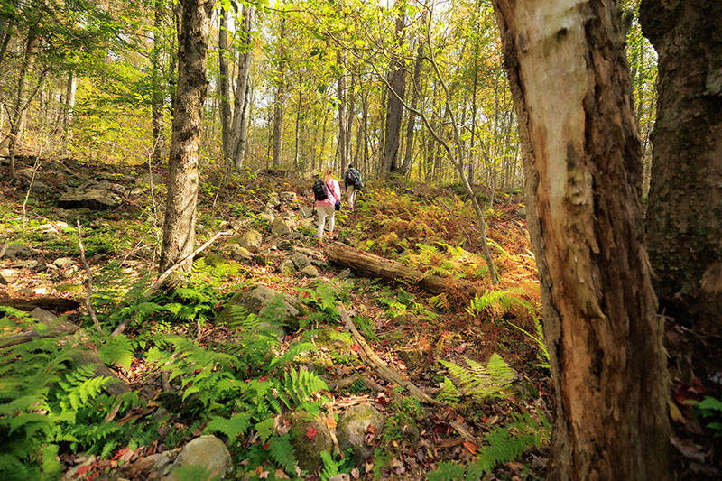 Gouldsboro State Park image