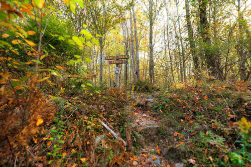A trail sign reading 
