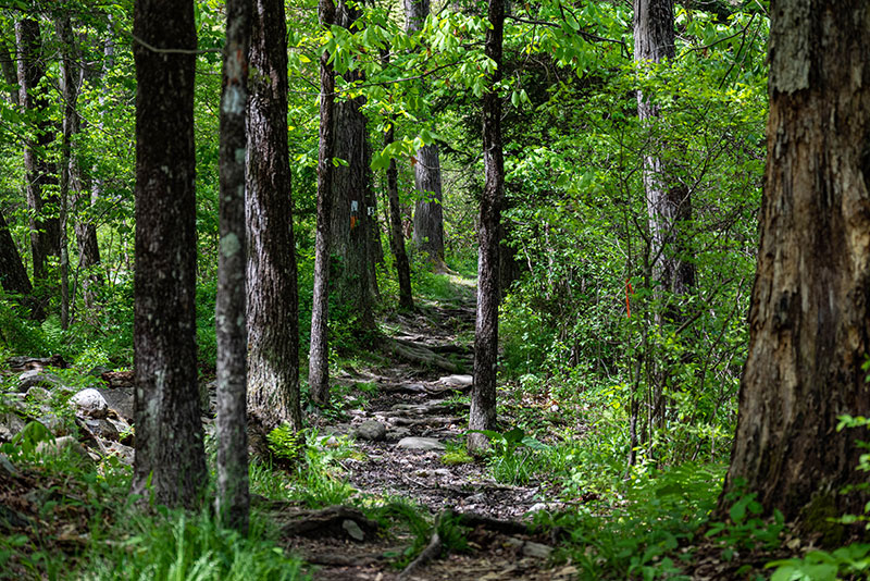 Pocono Environmental Education Center image