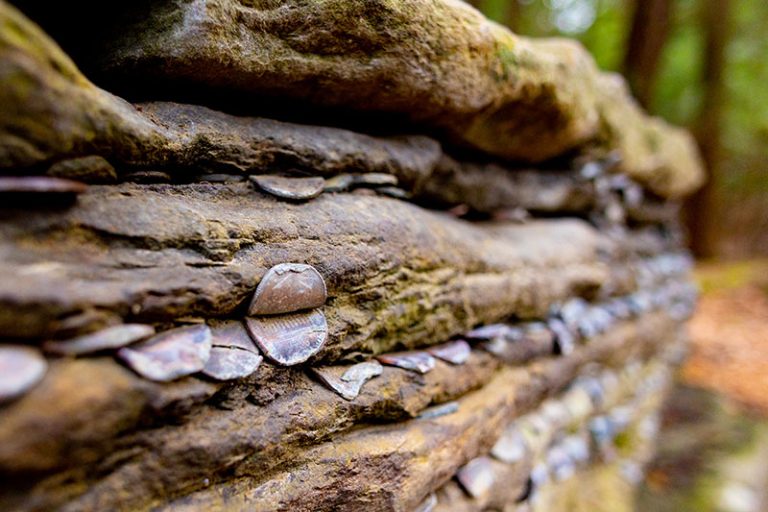 Things to See & Do at Salt Springs State Park | NEPA Parks & Lakes