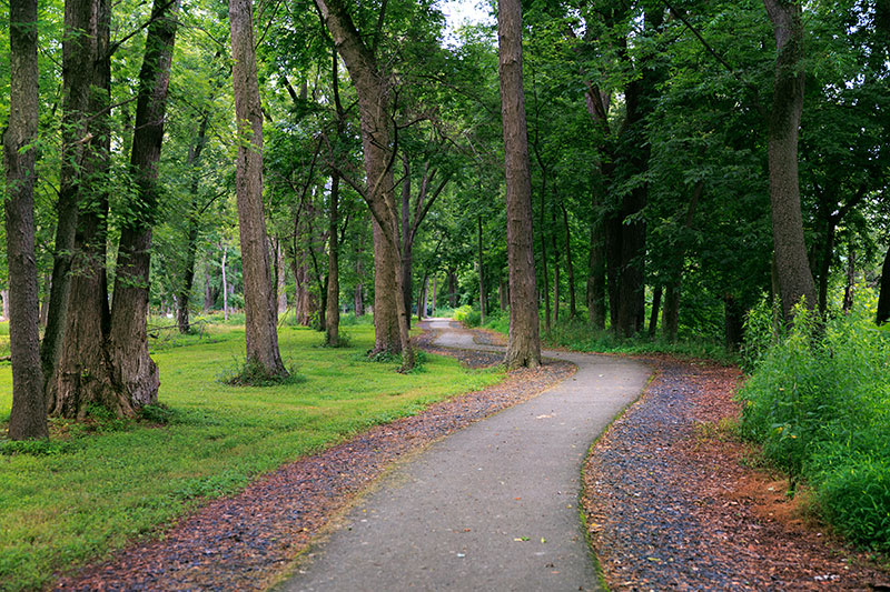 Test Track Park image