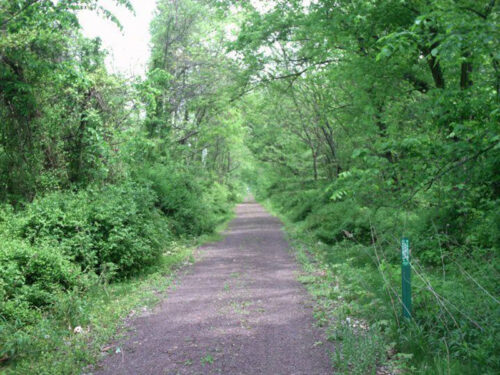 The path at the Susquehanna Warrior Trail in Berwick, PA.