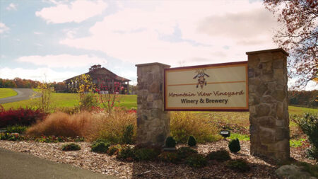 Mountain View Winery & Brewery image