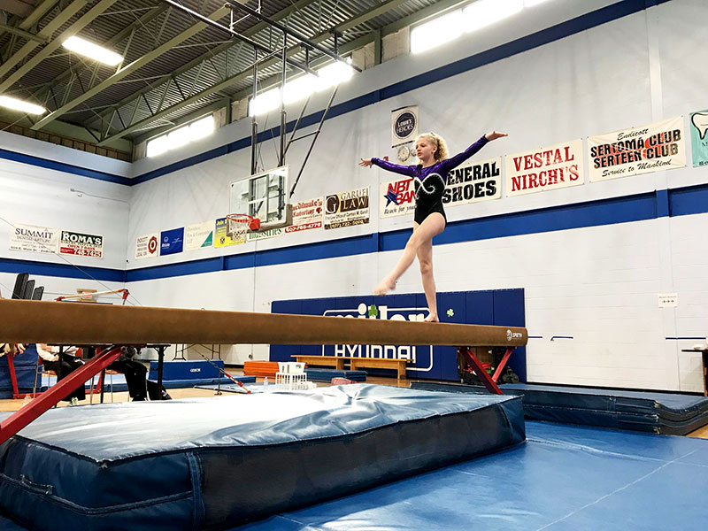 Rock N’ Roll Gymnastics Academy image