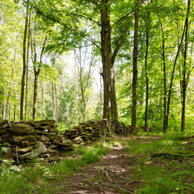 Meadowsweet Preserve image