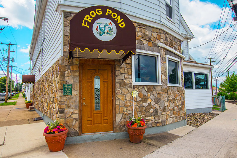 The Frog Pond Pub & Pizzeria image