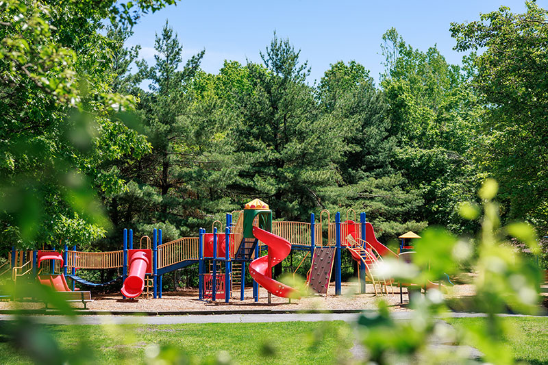 Mercatili Segilia Park image