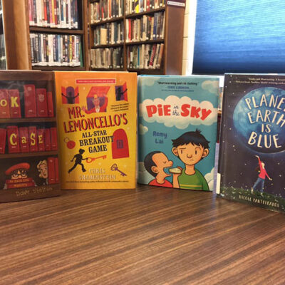 Lehighton Area Memorial Library image