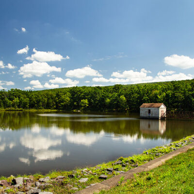 Dunmore Reservoir #1 Nature Trail image