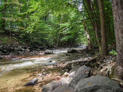 Devil’s Hole Trail | Cresco | DiscoverNEPA