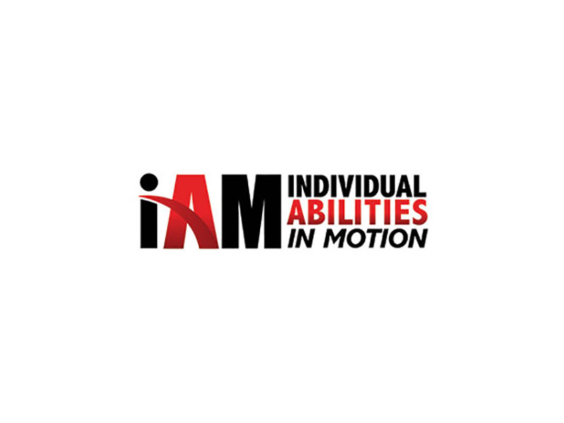 Individual Abilities in Motion image