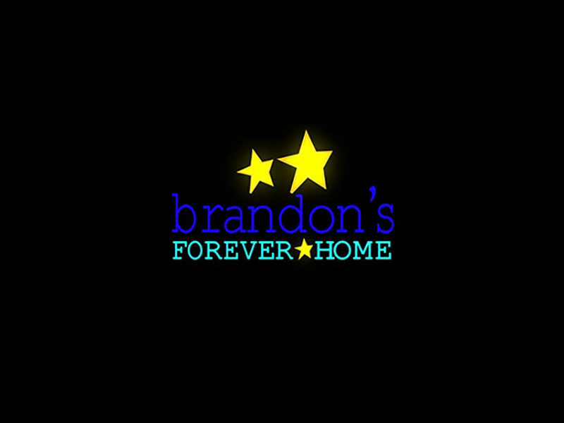 Brandon's Forever Home image