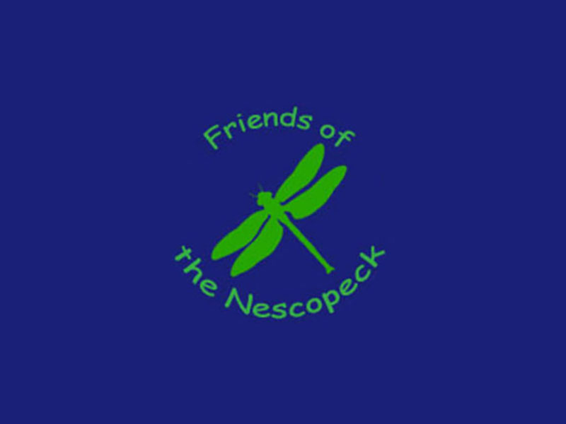 Friends of the Nescopeck image