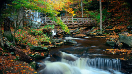 A wooden bridge crosses over a rocky stream in the autumn forest at Ricketts Glen State Park in Benton, PA. A waterfall cascades down rocks in the background, surrounded by colorful fall foliage.