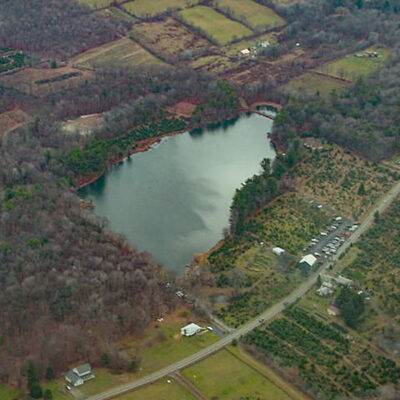 Helen and Ed’s Tree Farm image
