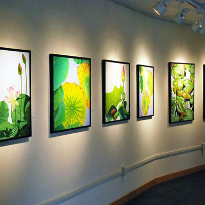 Haas Gallery of Art image