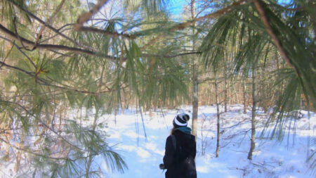 Photographer taking a winter hike on the trail at the Austin T. Blakeslee Nature Preserve in Blakeslee, PA.