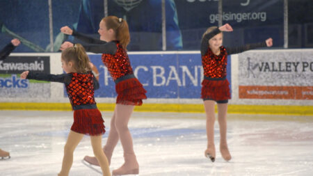 Diamond City Figure Skating Club image