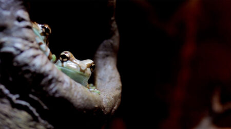 Electric City Aquarium & Reptile Den image