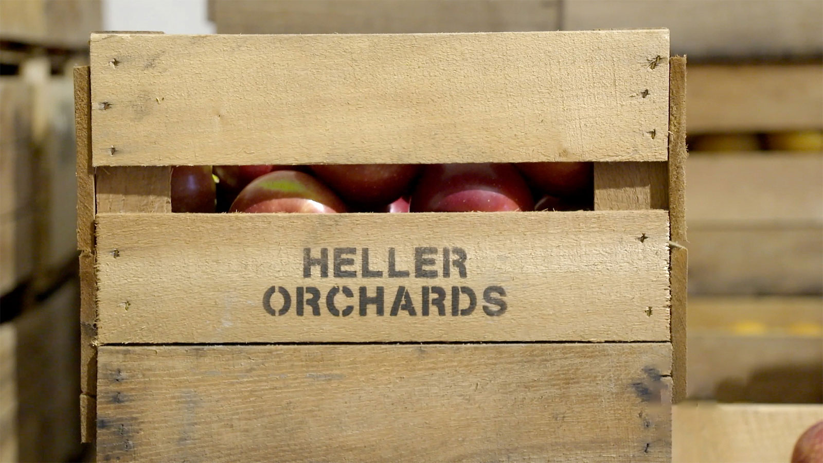 Hellers Orchard Apple Festival 2025