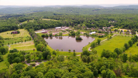 Rave Discount Plant Center image