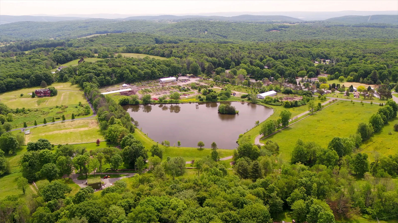 Rave Discount Plant Center Image