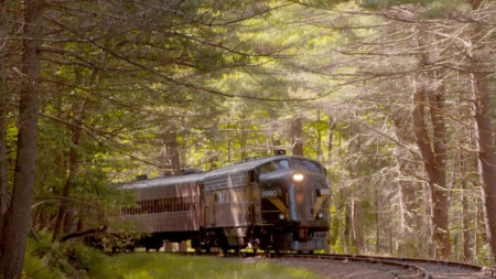 The Stourbridge Line image