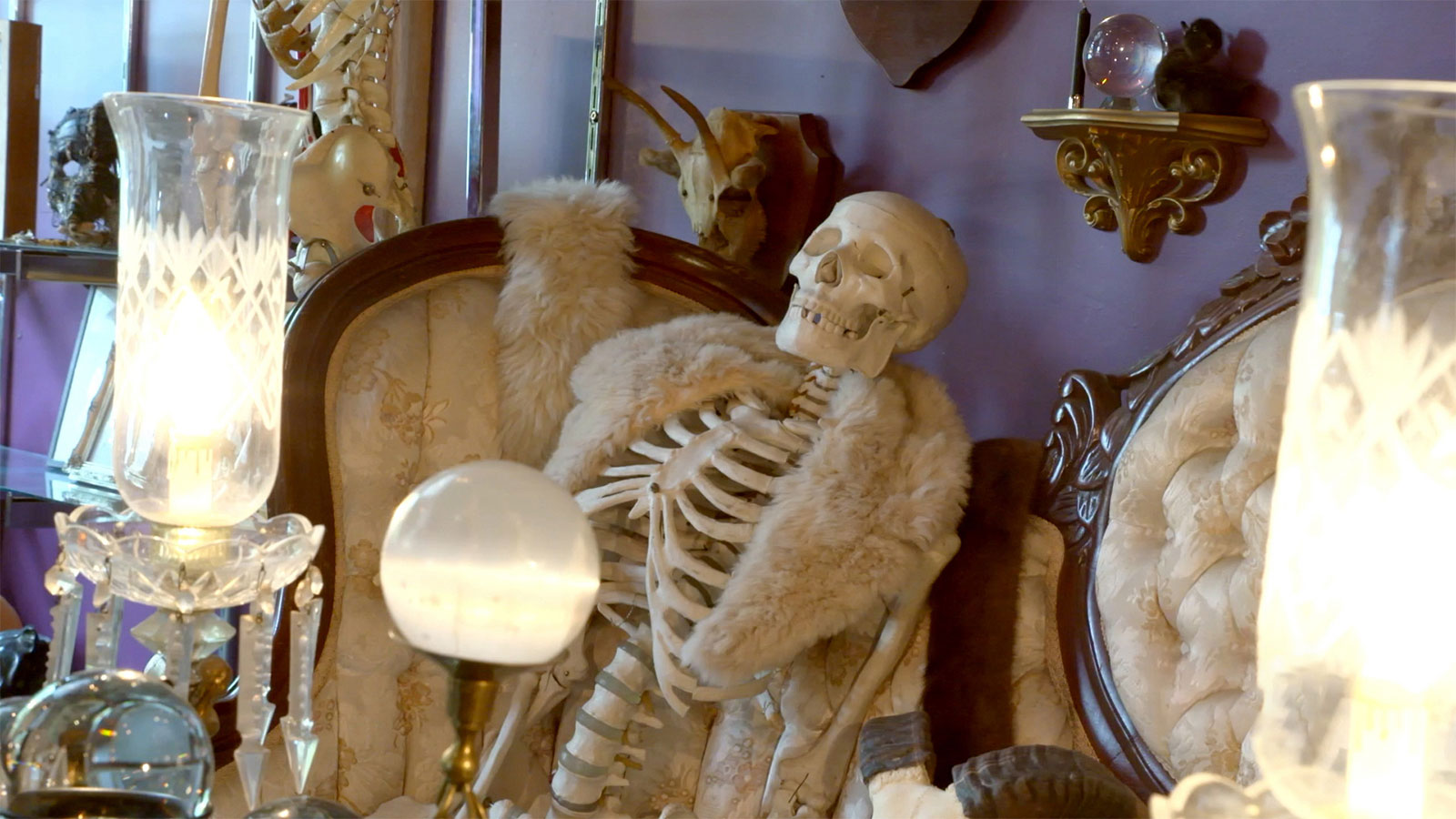 The Strange & Unusual Image