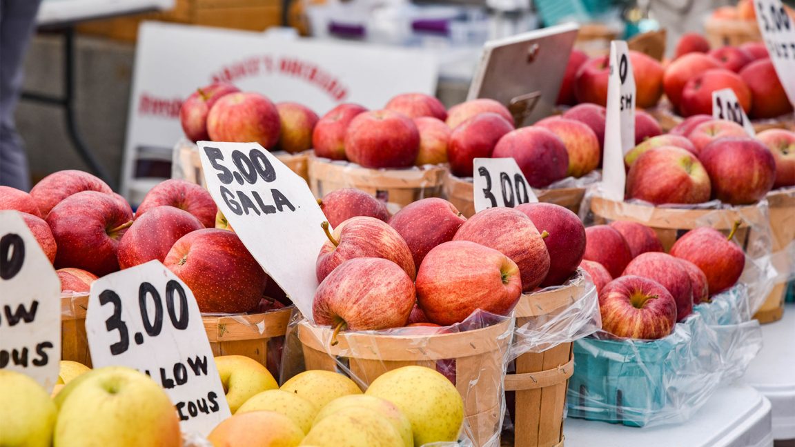 Picture This Opening Day at the WilkesBarre Farmers’ Market