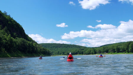 Susquehanna Kayak and Canoe Rentals image