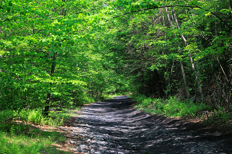 O&W Rail-Trail image