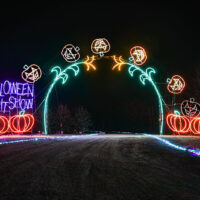 Halloween Light Show image