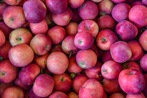 A crate of red apples at Klingel's Farm in Saylorsburg, PA.