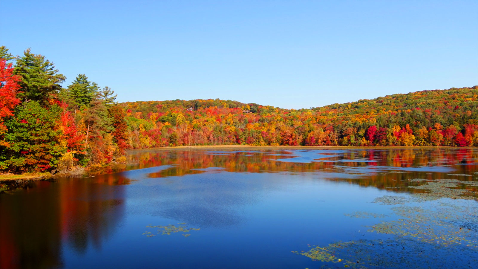 Harris Pond | Sweet Valley | DiscoverNEPA